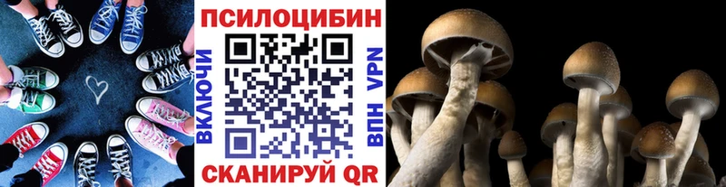 Псилоцибиновые грибы мицелий  KRAKEN ТОР  Темников  продажа наркотиков 