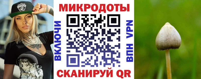 Псилоцибиновые грибы мицелий Темников
